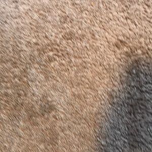 Meet your Posher, Mason